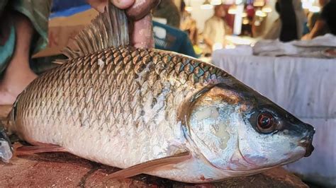 Amazing Cutting Skills Very Fast Big Rohu Fish Cutting Skills In BD