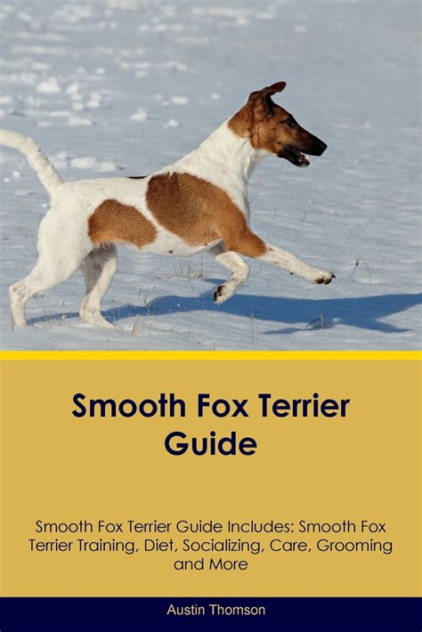 Smooth Fox Terrier Guide Smooth Fox Terrier Guide Includes : Smooth Fox ...