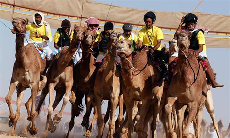 Camel Festival in UAE | Time Out Abu Dhabi