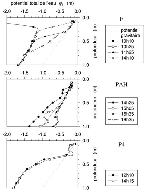 Evolution Du Profil De Potentiel Total De Leau Au Cours Daverses De