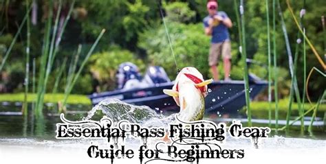 Essential Bass Fishing Gear Guide For Beginners Hoolx