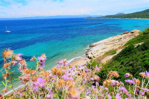 Porquerolles Images – Browse 53 Stock Photos, Vectors, and Video ...