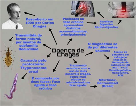 Mapas Mentais Sobre Doen A De Chagas Study Maps