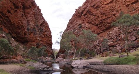 3 Day Uluru Kata Tjuta Kings Canyon Camping From Alice Springs By