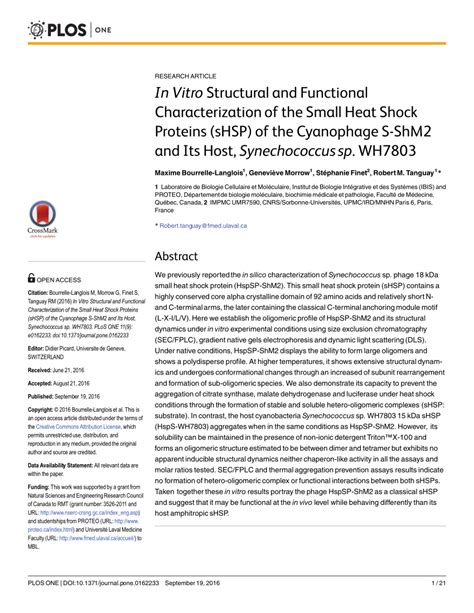 PDF In Vitro Structural And Functional Characterization Of The Small