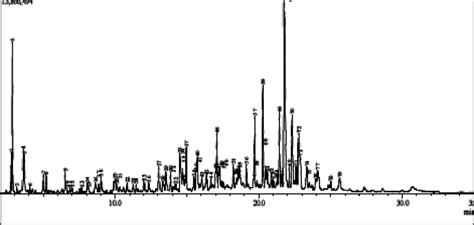 Gcms Chromatogram Of Light Tar Download Scientific Diagram