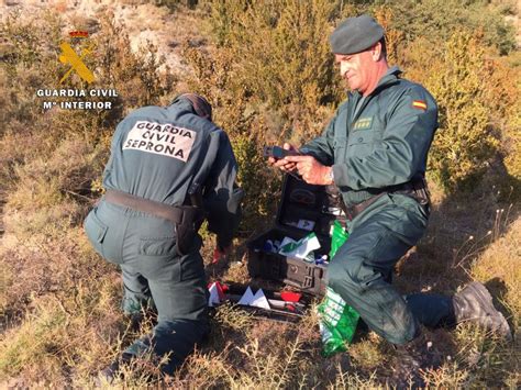 La Guardia Civil esclarece los últimos tres incendios forestales en