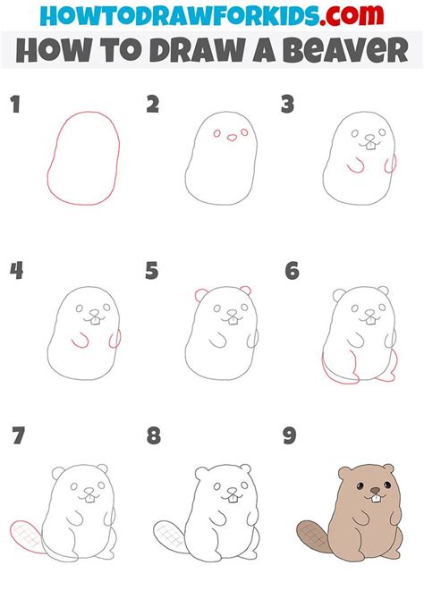 How To Draw A Beaver Step By Step Easy Doodles Drawings Drawing