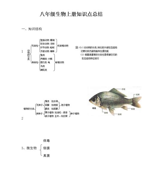 人教版八年级生物上册知识点精品总结（一） 教习网课件下载