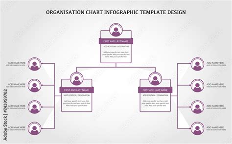 Organization hierarchy infographic template design, hierarchy chart ...