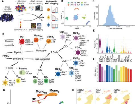 Single Cell Eqtl Mapping Identifies Cell Typespecific Genetic Control