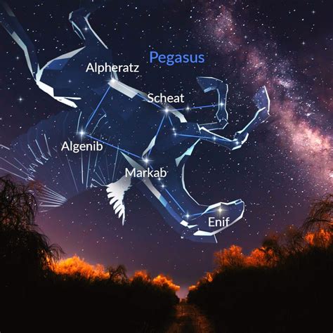 Constellation Pegasus The Winged Horse Blog Post - Name A Star