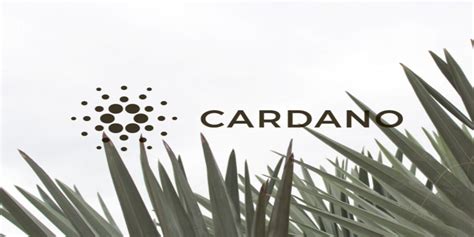 Analyse des prix Cardano l ADA glisse à 0 358 alors que les