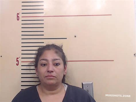 Hernandez Rosa Marie Parker County Mugshots Zone