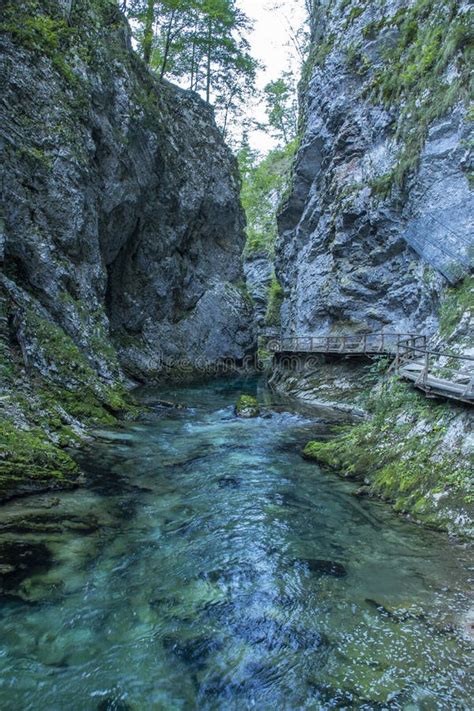 Vintgar Gorge, Slovenia. or Bled Gorge Stock Image - Image of water ...