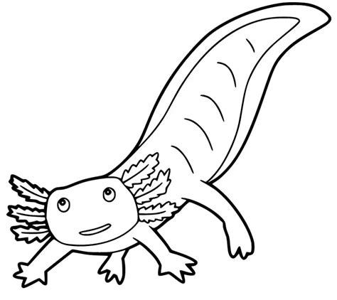 Cartoon Axolotl