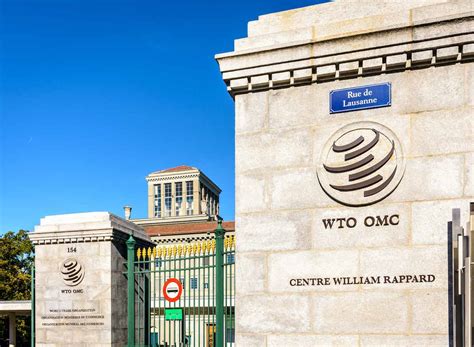 The White Taliban Organization WTO