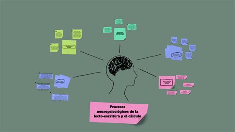 Procesos neuropsicológicos de la lecto escritura y el cálculo by