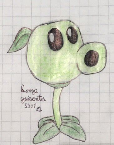 Dibujo De Lanzaguisantes Plants Vs Zombies Pvz Espa Ol Amino