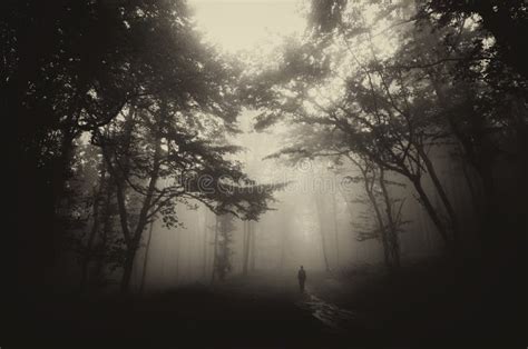 Man In Dark Haunted Forest With Fog On Halloween Stock Image Image Of