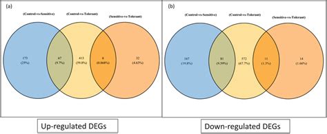 Venn Diagram Representing A Up Regulated And B Down Regulated