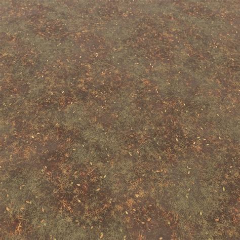 Patchy Dry Grass Texture 5301 - LotPixel