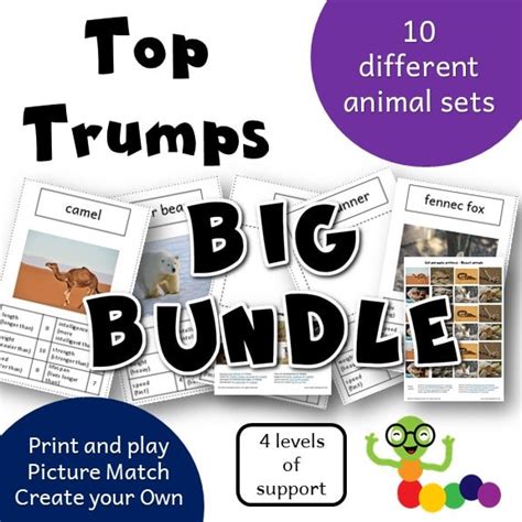 Mountain Animal Top Trump Cards - Kids Club English