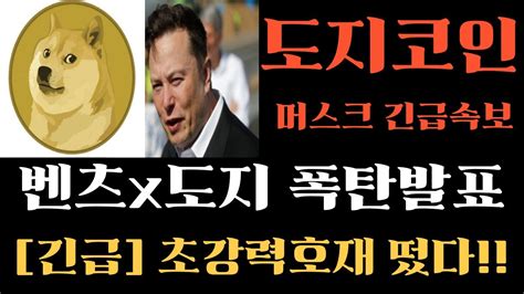 도지코인 일론머스크 긴급속보 벤츠x도지 폭탄발표 나왔다 지금빨리보세요 강력한호재 도지코인목표가 도지코인전망