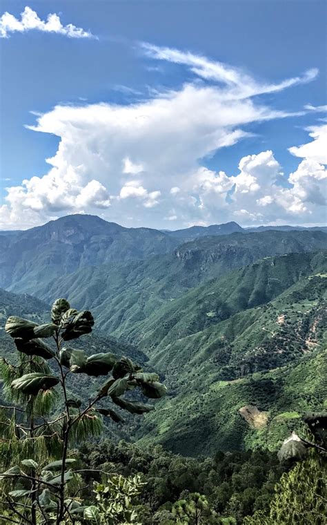 Connecting in the Mountains of Mexico – Just Pure Enjoyment