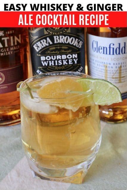 Easy Whiskey and Ginger Ale Cocktail Drink Recipe | dobbernationLOVES