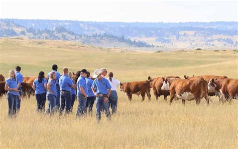 2022 Aha Annual Report By American Hereford Association And Hereford