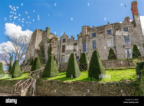 Hay castle birds flying hi-res stock photography and images - Alamy