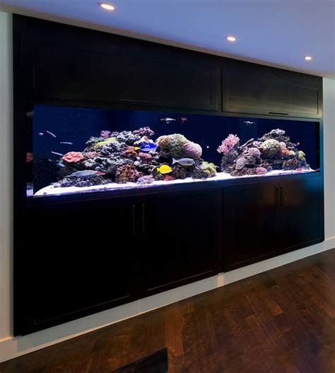 coolest wall fish tank designs