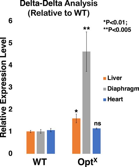 Development Of Capsid And Genome Modified Optimized Aavrh74 Vectors