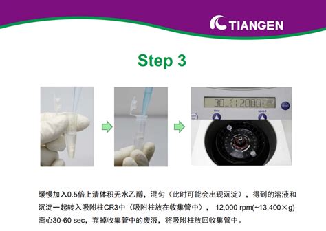 动物组织总 RNA 提取试剂盒操作指南DP431 动物组织 丁香实验