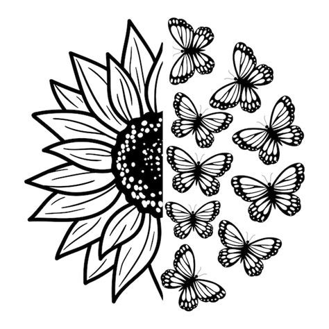 Girasol Y Mariposas Dibujo De Esquema Ilustraci N De Vector De L Nea