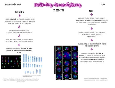 Métodos diagnósticos en Génetica Tania Duque García uDocz