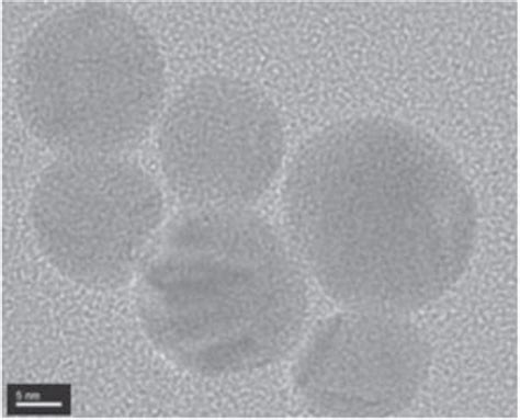 Transmission Electron Microscopy Tem Image Showing The Migration Of