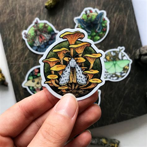 Moths Mushroom And Botanical Stickers Vinyl Sticker Sheet Etsy