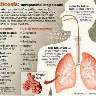 Respiratory function of humans | Download Scientific Diagram