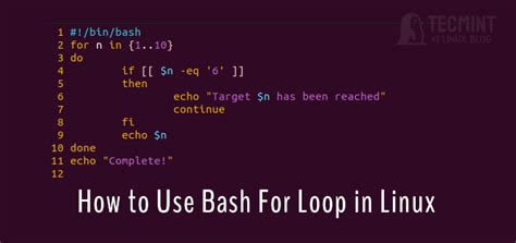 How To Use Bash For Loop In Linux A Beginner S Tutorial