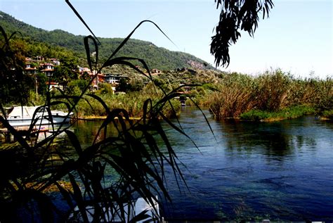 Fotos Gratis Paisaje Rbol Naturaleza Desierto Flor Lago R O