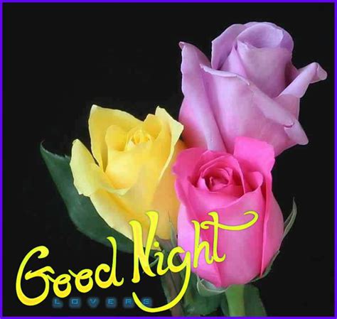 Good Night Flowers images, pictures and wallpapers - Gud Nite Flowers