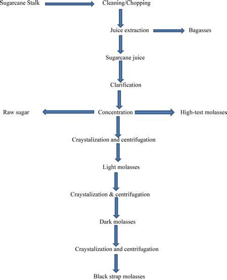 Preparation Of Different Types Of Molasses Download Scientific Diagram