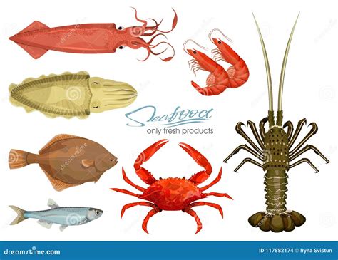 Seafood In Cartoon Style Icons Vector Illustrations Set Squid