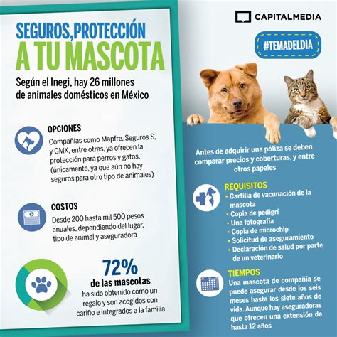 Seguros Protección Para Tu Mascota