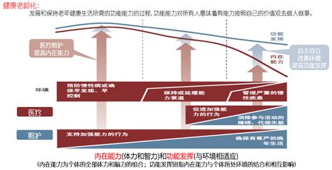 【智库观点】应对老龄化问题的逻辑老龄化智库照护护理医养养老 健康界