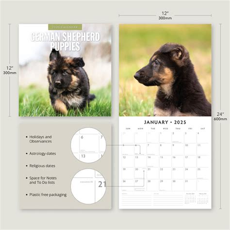 Duitse Herder Puppies Kalender 2025 Kopen Eenvoudig En Snel Online