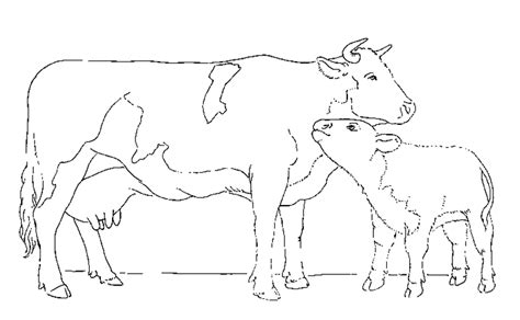 Coloriage Vache Animaux Dessin Colorier Coloriages