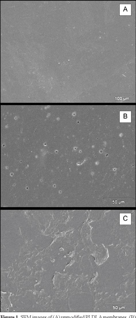 Figure 1 From Surface Characterization And Osteoblast Like Cells